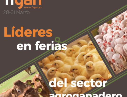 Feria Figan 2023 – Zaragoza