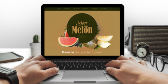 web toyo - trabajos - don melon - homepage